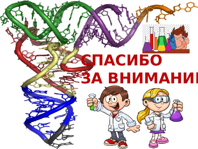 СПАСИБО ЗА ВНИМАНИЕ 
