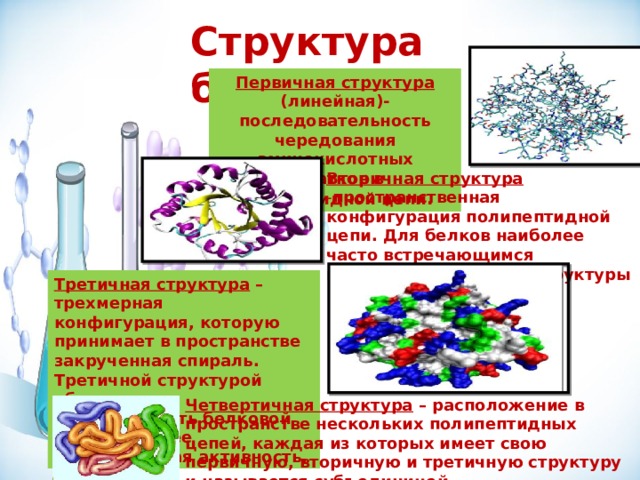 Презентация на тему белки по химии 9 класс