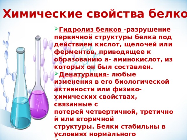 Белки в химии презентация