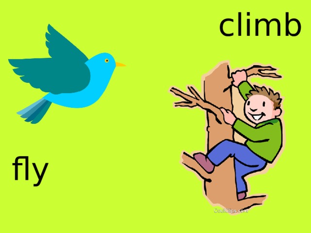 Fly verb. Fly глагол. Climb для детей. Climb verb. Картинка глагол Climb.