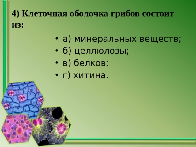 4) Клеточная оболочка грибов состоит из: а) минеральных веществ; б) целлюлозы; в) белков; г) хитина. 