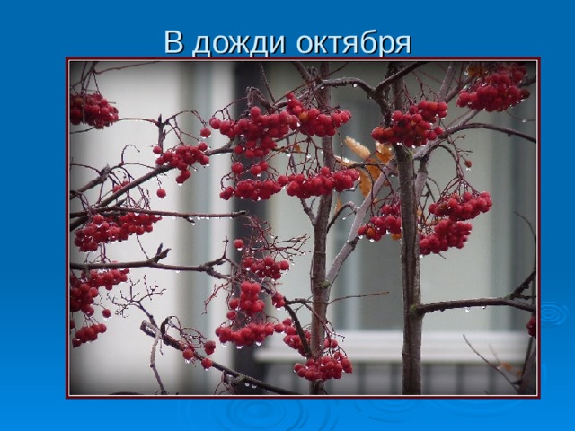 Литературное чтение. 2 класс Школа 21 века. В. Солоухин "Деревья"