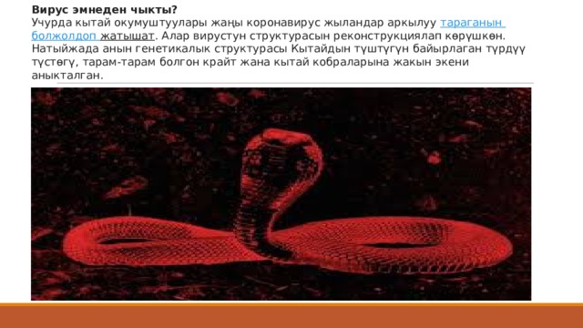Вирус эмнеден чыкты? Учурда кытай окумуштуулары жаңы коронавирус жыландар аркылуу  тараганын  болжолдоп  жатышат . Алар вирустун структурасын реконструкциялап көрүшкөн. Натыйжада анын генетикалык структурасы Кытайдын түштүгүн байырлаган түрдүү түстөгү, тарам-тарам болгон крайт жана кытай кобраларына жакын экени аныкталган. 