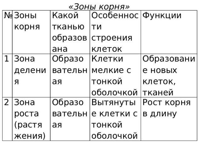 «Зоны корня» № Зоны корня 1 Какой тканью образована Зона деления 2 Особенности строения клеток Образовательная Зона роста (растяжения) Функции Клетки мелкие с тонкой оболочкой Образовательная Образование новых клеток, тканей Вытянутые клетки с тонкой оболочкой Рост корня в длину 