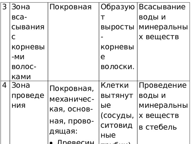 3 Зона вса-сывания с корневы-ми волос-ками 4 Покровная Зона проведения Образуют выросты-корневые волоски. Покровная,  механичес-кая, основ- Всасывание воды и минеральных веществ ная, прово-дящая: Клетки вытянутые (сосуды, ситовидные трубки) Древесина Луб Проведение воды и минеральных веществ в стебель 