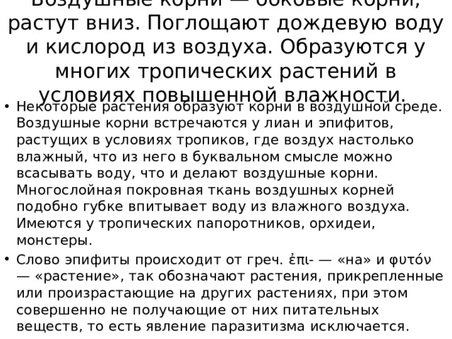 Воздушные корни — боковые корни, растут вниз. Поглощают дождевую воду и кислород из воздуха. Образуются у многих тропических растений в условиях повышенной влажности.  Некоторые растения образуют корни в воздушной среде. Воздушные корни встречаются у лиан и эпифитов, растущих в условиях тропиков, где воздух настолько влажный, что из него в буквальном смысле можно всасывать воду, что и делают воздушные корни. Многослойная покровная ткань воздушных корней подобно губке впитывает воду из влажного воздуха. Имеются у тропических папоротников, орхидеи, монстеры. Слово эпифиты происходит от греч. ἐπι- — «на» и φυτόν — «растение», так обозначают растения, прикрепленные или произрастающие на других растениях, при этом совершенно не получающие от них питательных веществ, то есть явление паразитизма исключается. 