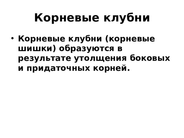 Корневые клубни Корневые клубни (корневые шишки) образуются в результате утолщения боковых и придаточных корней.  