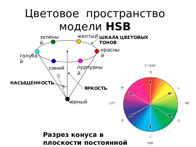 Цветовое пространство модели HSB желтый зеленый ШКАЛА ЦВЕТОВЫХ ТОНОВ красный голубой пурпурный синий НАСЫЩЕННОСТЬ ЯРКОСТЬ черный Разрез конуса в плоскости постоянной яркости 
