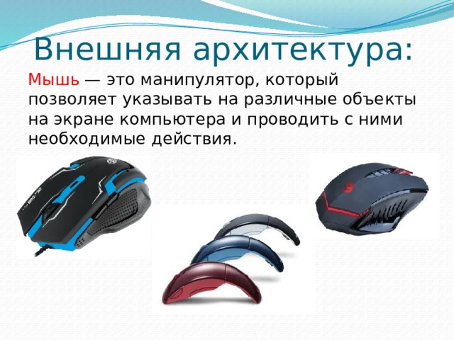 Внешняя архитектура: Мышь — это манипулятор, который позволяет указывать на различные объекты на экране компьютера и проводить с ними необходимые действия. 