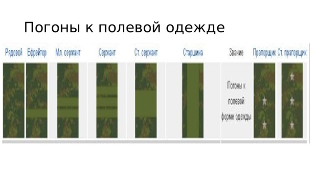 Погоны к полевой одежде 
