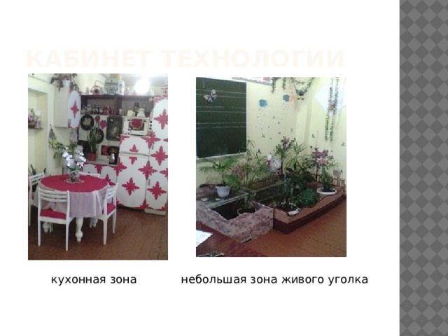Кабинет технологии небольшая зона живого уголка кухонная зона 