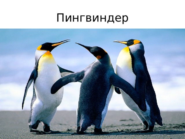 Пингвиндер 