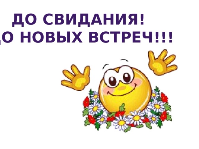 До свидания! До новых встреч!!!