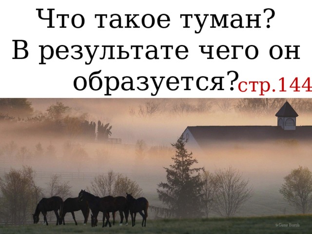 Что такое туман? В результате чего он образуется? стр.144 