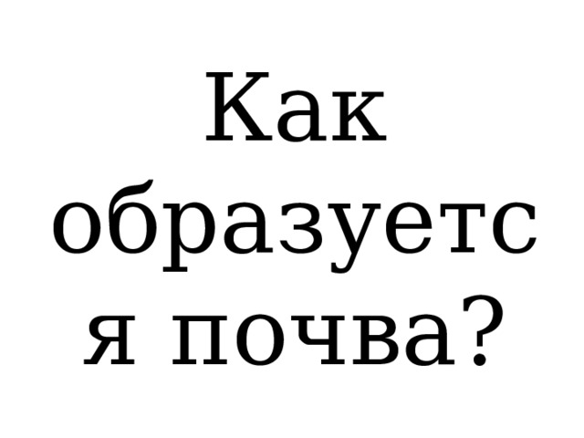 Как образуется почва? 