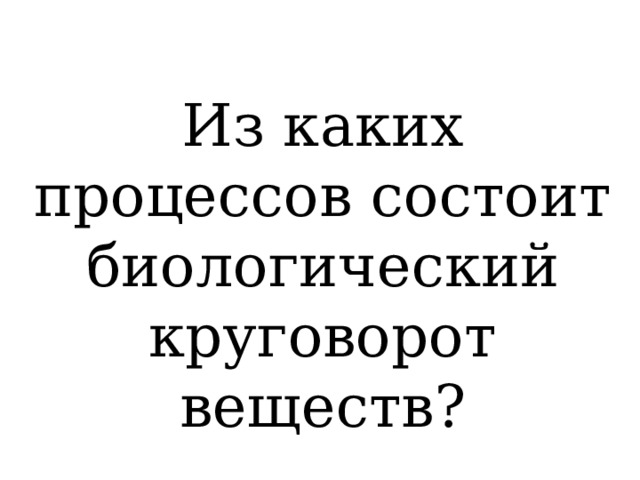 Из каких процессов состоит биологический круговорот веществ? 