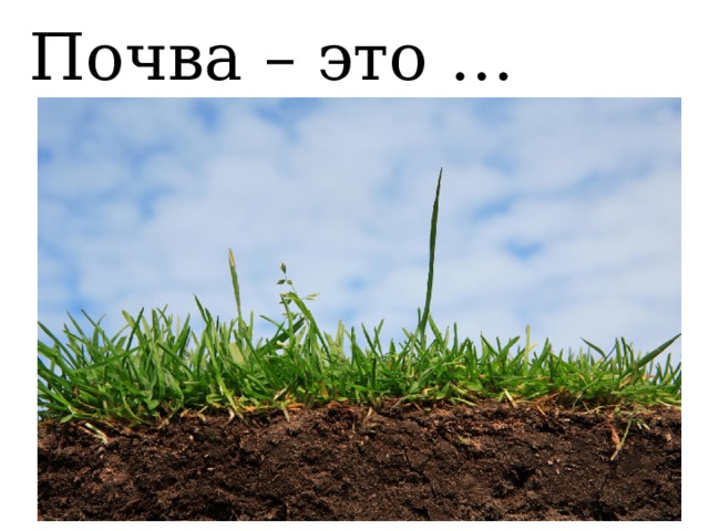 Почва – это … 