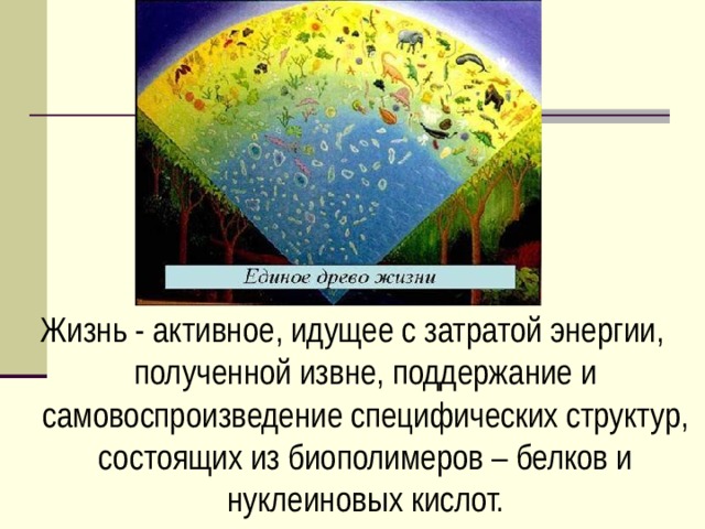 Жизнь - активное, идущее с затратой энергии, полученной извне, поддержание и самовоспроизведение специфических структур, состоящих из биополимеров – белков и нуклеиновых кислот. 