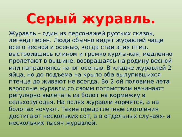 Серый журавль. Журавль – один из персонажей русских сказок, легенд песен. Люди обычно видят журавлей чаще всего весной и осенью, когда стаи этих птиц, выстроившись клином и громко курлы-кая, медленно пролетают в вышине, возвращаясь на родину весной или направляясь на юг осенью. В кладке журавлей 2 яйца, но до подъема на крыло оба вылупившихся птенца до-живают не всегда. Во 2-ой половине лета взрослые журавли со своим потомством начинают регулярно вылетать из болот на кормежку в сельхозугодья. На полях журавли кормятся, а на болотах ночуют. Такие предотлетные скопления достигают нескольких сот, а в отдельных случаях- и нескольких тысяч журавлей. 