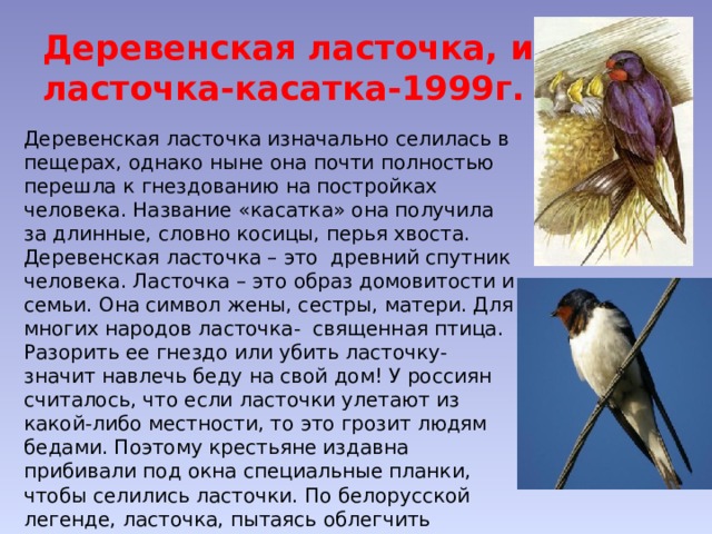 Деревенская ласточка, или ласточка-касатка-1999г. Деревенская ласточка изначально селилась в пещерах, однако ныне она почти полностью перешла к гнездованию на постройках человека. Название «касатка» она получила за длинные, словно косицы, перья хвоста. Деревенская ласточка – это древний спутник человека. Ласточка – это образ домовитости и семьи. Она символ жены, сестры, матери. Для многих народов ласточка- священная птица. Разорить ее гнездо или убить ласточку- значит навлечь беду на свой дом! У россиян считалось, что если ласточки улетают из какой-либо местности, то это грозит людям бедами. Поэтому крестьяне издавна прибивали под окна специальные планки, чтобы селились ласточки. По белорусской легенде, ласточка, пытаясь облегчить страдания Христа, утаскивала гвозди и пыталась снять с его головы терновый венец. 