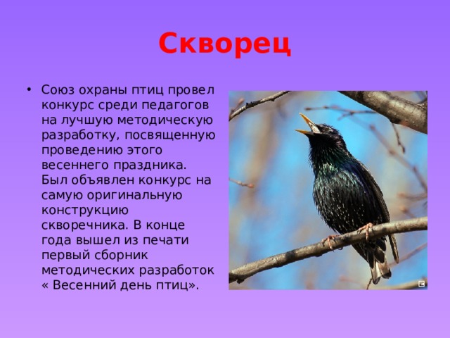 Скворец Союз охраны птиц провел конкурс среди педагогов на лучшую методическую разработку, посвященную проведению этого весеннего праздника. Был объявлен конкурс на самую оригинальную конструкцию скворечника. В конце года вышел из печати первый сборник методических разработок « Весенний день птиц». 