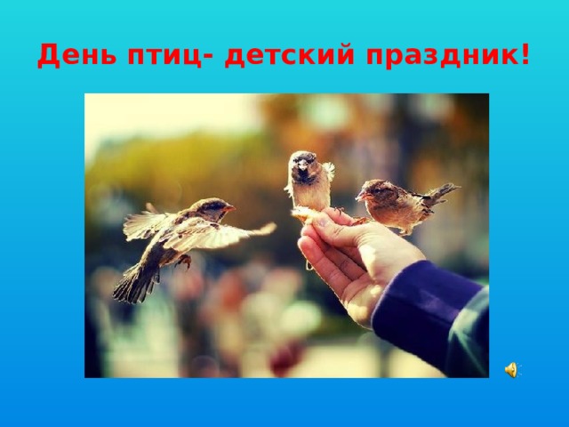 День птиц- детский праздник! 