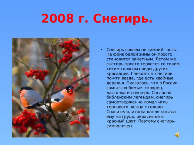 2008 г. Снегирь. Снегирь совсем не зимний гость. На фоне белой зимы он просто становится заметным. Летом же снегирь просто теряется со своим тихим голосом среди других красавцев. Гнездятся снегири поч-ти везде, где есть хвойные деревья. Оказалось, что в России самые лю-бимые- скворец, ласточка и снеги-рь. Согласно библейским легендам, снегирь самоотверженно ломал иглы тернового венца с головы Спасителя, и одна капля попала ему на грудь, окрасив ее в красный цвет. Поэтому снегирь-символичен. 