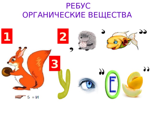 Химические ребусы