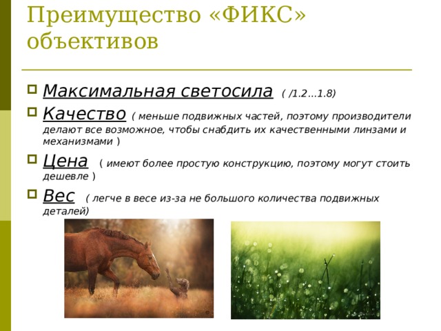Преимущество «ФИКС» объективов Максимальная светосила   ( /1.2...1.8) Качество   ( меньше подвижных частей, поэтому производители делают все возможное, чтобы снабдить их качественными линзами и механизмами ) Цена    ( имеют более простую конструкцию, поэтому могут стоить дешевле ) Вес    ( легче в весе из-за не большого количества подвижных деталей)  