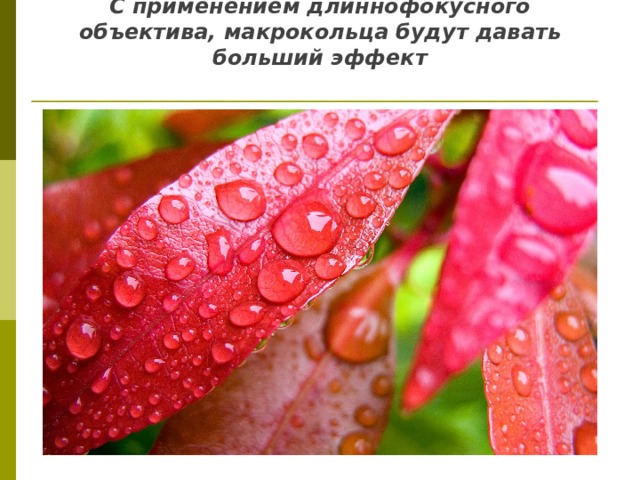 С применением длиннофокусного объектива, макрокольца будут давать больший эффект   