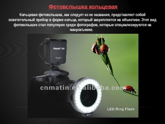 Фотовспышка кольцевая Кольцевая фотовспышка, как следует из ее названия, представляет собой осветительный прибор в форме кольца, который закрепляется на объективе. Этот вид фотовспышек стал популярен среди фотографов, которые специализируются на макросъемке. 