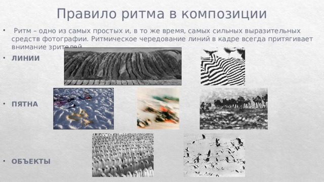 Правило ритма в композиции   Ритм – одно из самых простых и, в то же время, самых сильных выразительных средств фотографии. Ритмическое чередование линий в кадре всегда притягивает внимание зрителей. ЛИНИИ    ПЯТНА     ОБЪЕКТЫ 