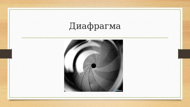 Диафрагма 