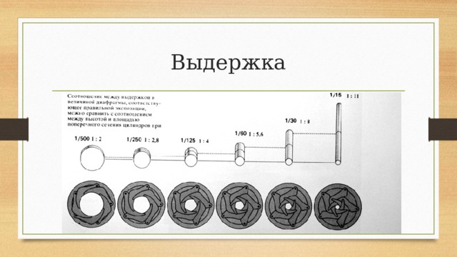 Выдержка 