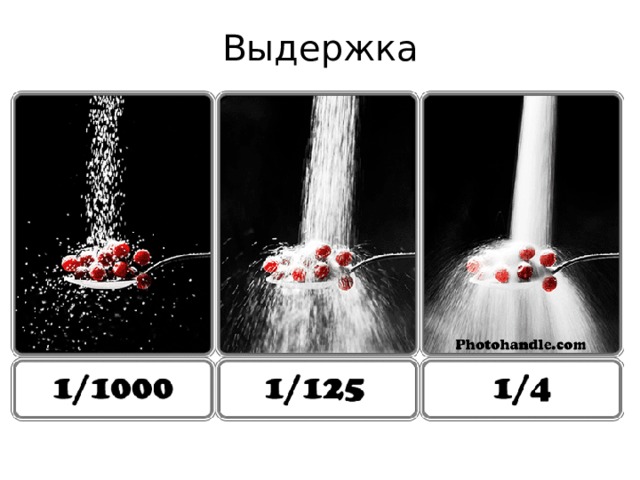 Выдержка 