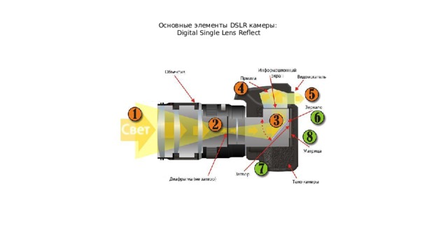 Основные элементы DSLR камеры:  Digital Single Lens Reflect 