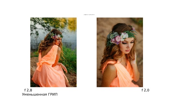         Диафрагма и глубина резкости  f 2,8 f 2,0 Уменьшенная ГРИП 