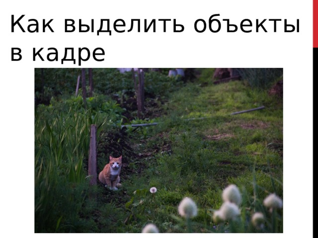 Как выделить объекты в кадре 