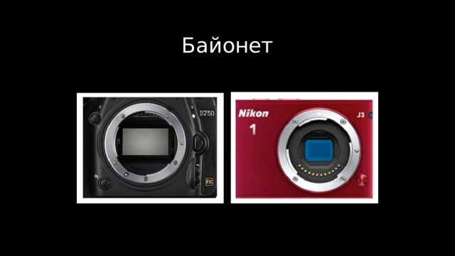 Байонет 