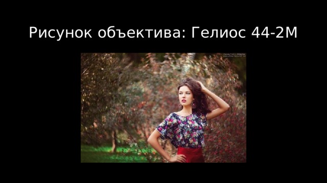 Рисунок объектива: Гелиос 44-2М 