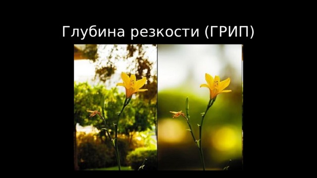 Глубина резкости (ГРИП) 