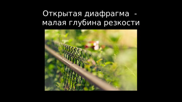 Открытая диафрагма -  малая глубина резкости 