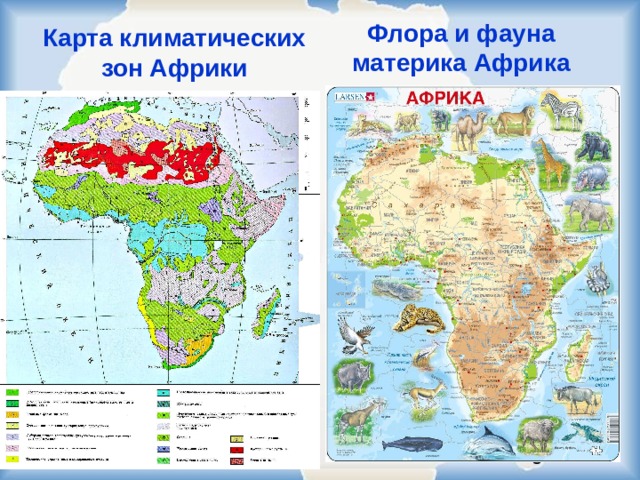 Координаты материка африка