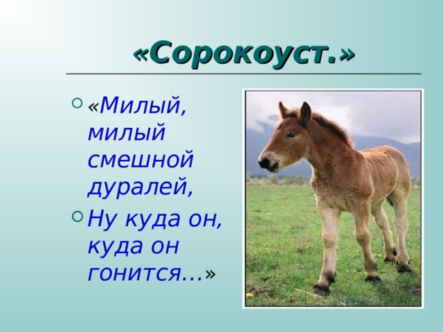 « Сорокоуст. » « Милый, милый  смешной дуралей, Ну куда он, куда он гонится… » 