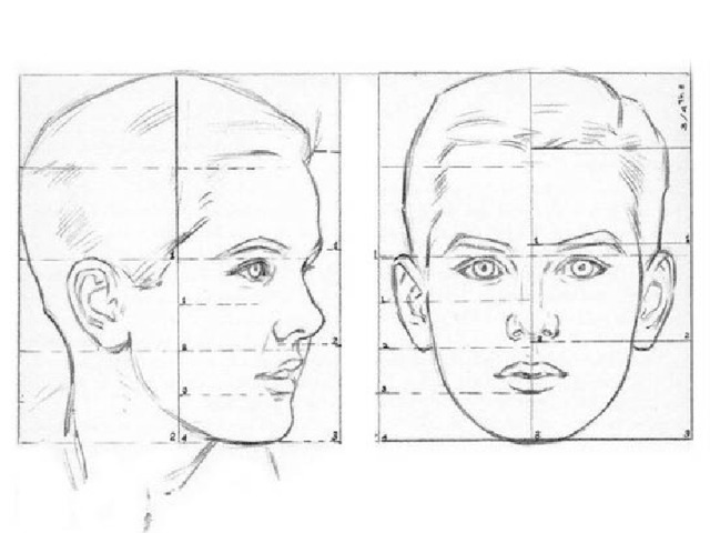 Изображение головы человека в пространстве 6 класс как рисовать