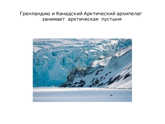 Гренландию и Канадский Арктический архипелаг занимает арктическая пустыня 