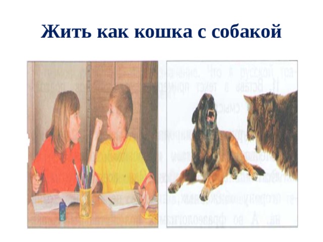 Жить как кошка с собакой значение. Красное словцо не ложь кошка и собака. Красное словцо не ложь родной язык 4 класс презентация. Родной русский 4 класс тема красное словцо не ложь.