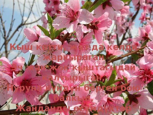 . Кыш кетти, жаз да келди жаркыраган Эч жан жок кыштагыдай калтырыган, Нуруна күндүн берген бою балкып, Жанданды өсүмдүктөр алсыраган 