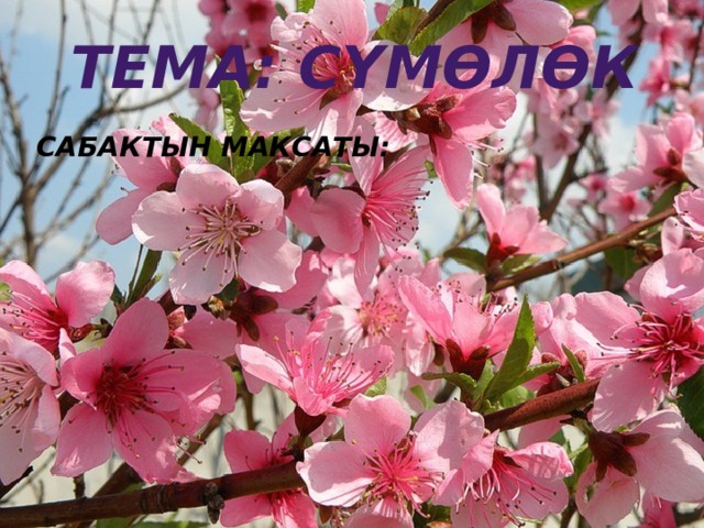 Тема: Сүмөлөк Сабактын максаты:  