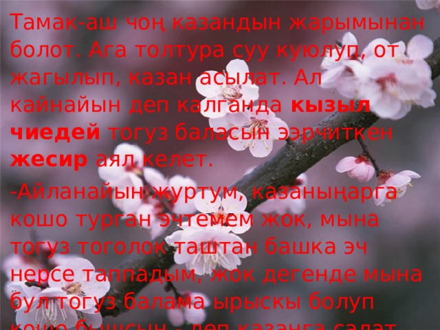 Тамак-аш чоң казандын жарымынан болот. Ага толтура суу куюлуп, от жагылып, казан асылат. Ал кайнайын деп калганда кызыл чиедей тогуз баласын ээрчиткен жесир аял келет. -Айланайын журтум, казаныңарга кошо турган эчтемем жок, мына тогуз тоголок таштан башка эч нерсе таппадым, жок дегенде мына бул тогуз балама ырыскы болуп кошо бышсын,- деп казанга салат. 